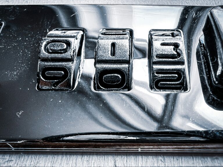 Social Security Number In Luxembourg: Guided