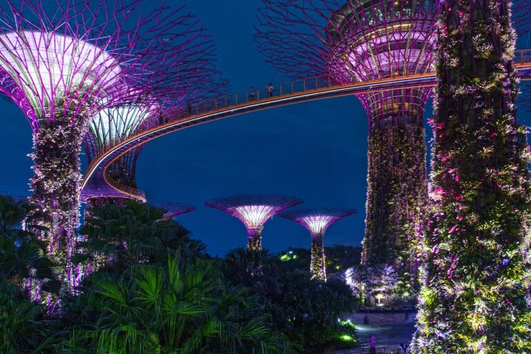 Tourist Visa In Singapore