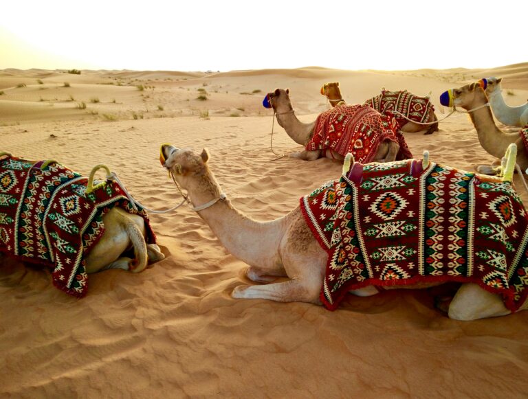 Permanent Residence In UAE: Expats guide