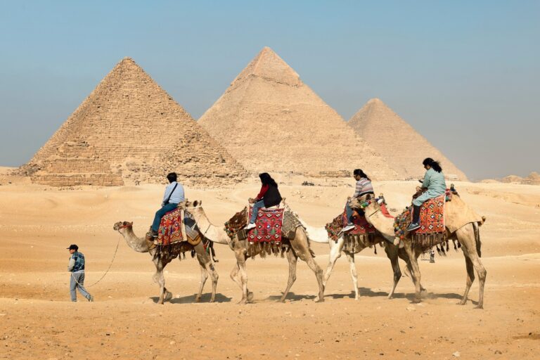 How To Register Your Address In Egypt