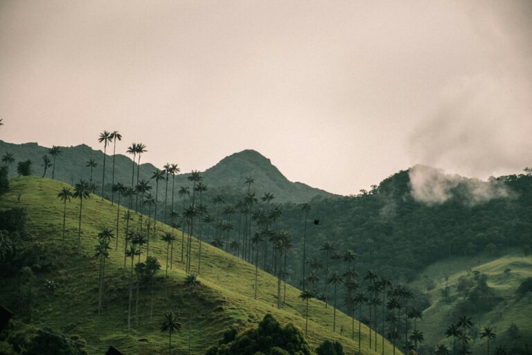 Colombia Citizenship: All You Need To Know
