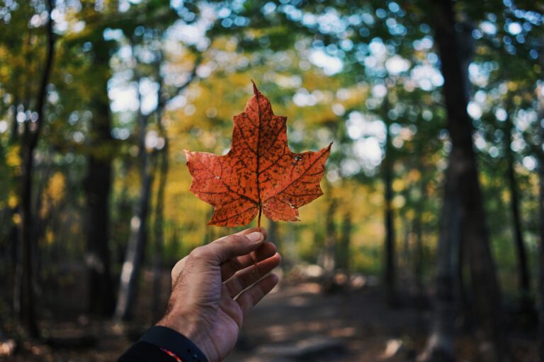 Dual Citizenship In Canada: An Expats Guide