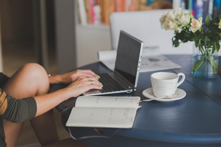 Freelancer Visa In New Zealand