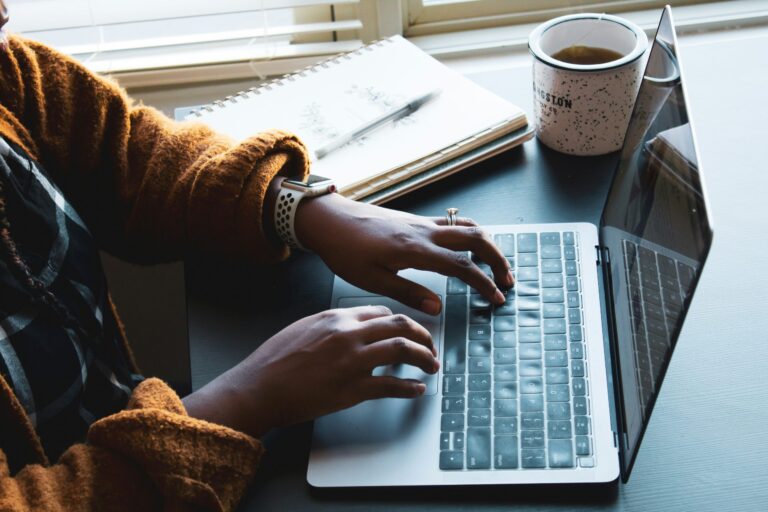 Freelancer Visa In Japan